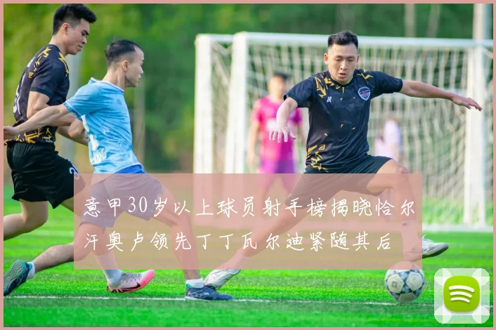 意甲30岁以上球员射手榜揭晓恰尔汗奥卢领先丁丁瓦尔迪紧随其后
