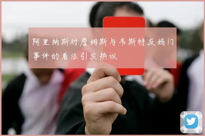 阿里纳斯对詹姆斯与韦斯特友妈门事件的看法引发热议