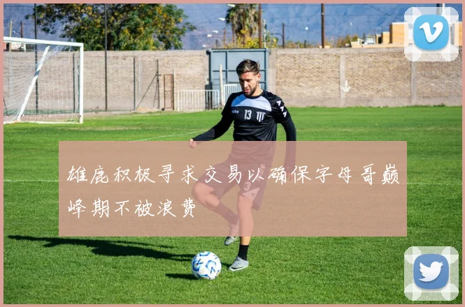 雄鹿积极寻求交易以确保字母哥巅峰期不被浪费